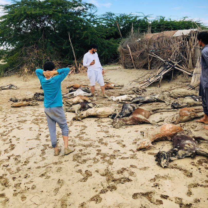 سیل سیستان و بلوچستان سیل سیستان و بلوچستان