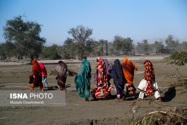 سیل هرمزگان