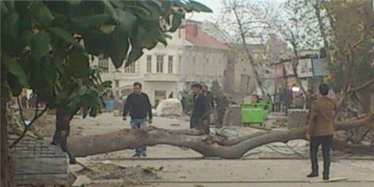 خسارت ۶۶ میلیاردی وزش باد در گیلان