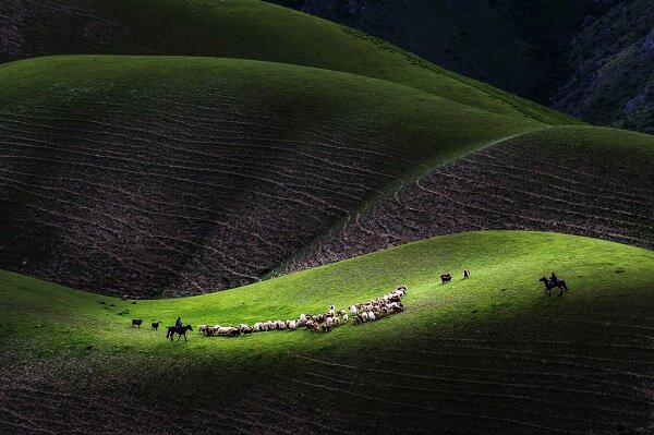 برترین عکس‌های علمی سال ۲۰۱۹