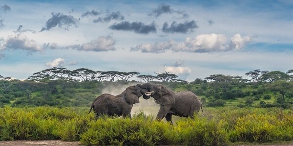 برترین عکس‌های علمی سال ۲۰۱۹