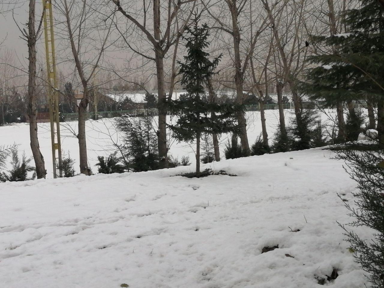 عصبانیت شدید مجیدی از ضعف لجستیک استقلال