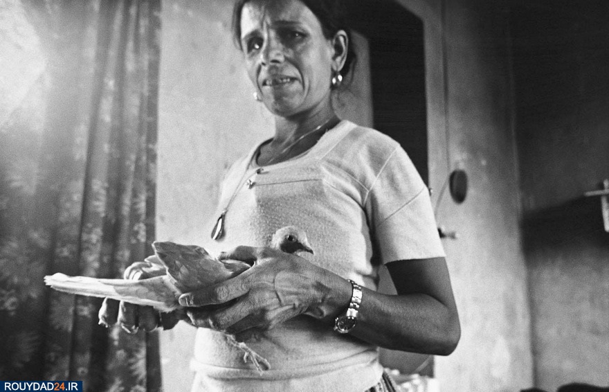 آتش زدن شهرنو