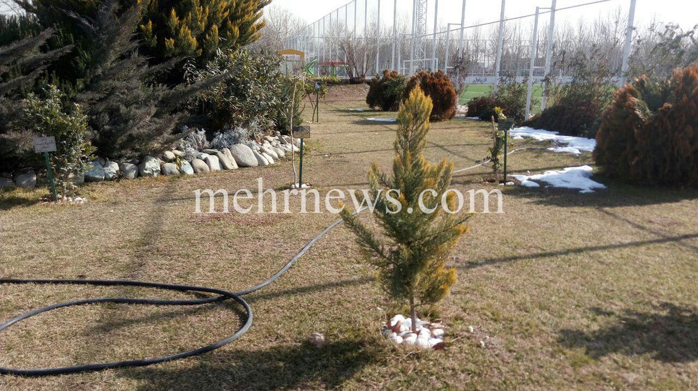 مارک ویلموتس