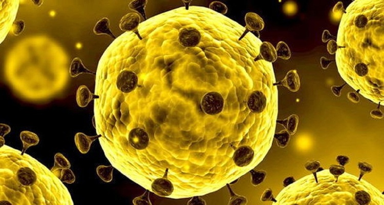 ویروس کرونا، ۹ روز روی سطوح آلوده باقی می‌ماند