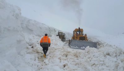 قطع برق و آب در مناطق روستایی/۱۴۷ مصدوم و ۸ فوتی در ۴ روز قطع برق و آب در مناطق روستایی/۱۴۷ مصدوم و ۸ فوتی در ۴ روز