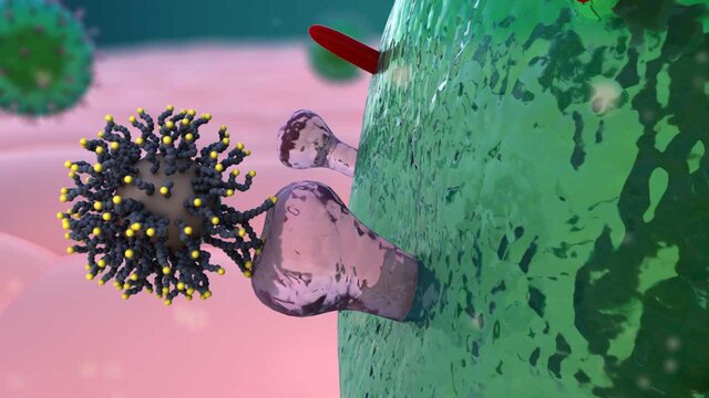 اخبار منتشره در خصوص ابتلا به ویروس کرونا در گیلان شایعه است