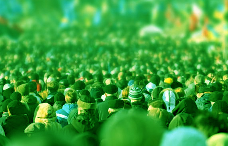 مشارکت در انتخابات