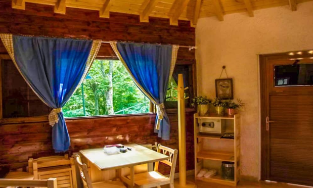 آفتاب کالیفرنیا در رامسر آفتاب کالیفرنیا در رامسر