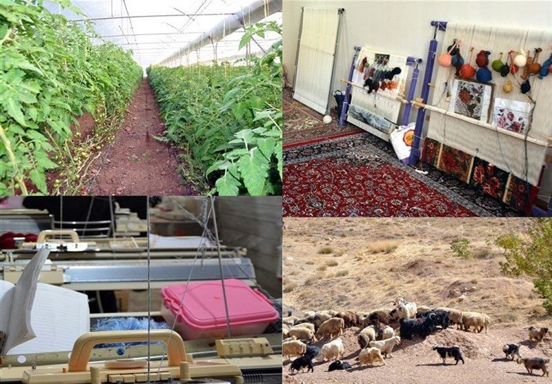 ۸ برنامه اشتغالزایی دولت 