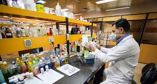 مصرف الکل خوراکی