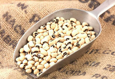  لوبیا چشم بلبلی