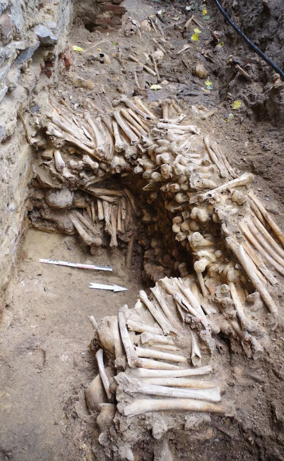 دیواری ساخته شده از استخوان انسان! +عکس دیواری ساخته شده از استخوان انسان! +عکس