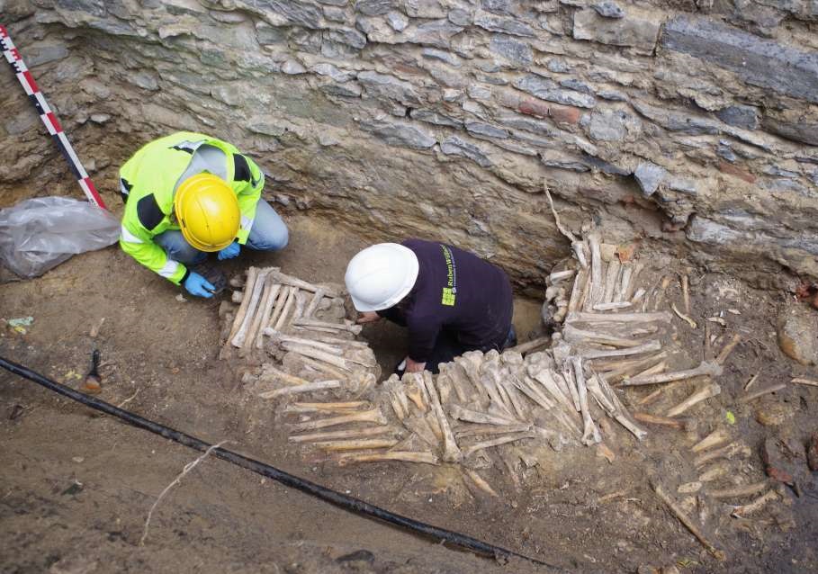 دیواری ساخته شده از استخوان انسان! +عکس دیواری ساخته شده از استخوان انسان! +عکس