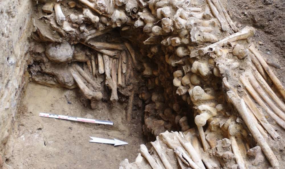 اخبار حوادث اخبار حوادث