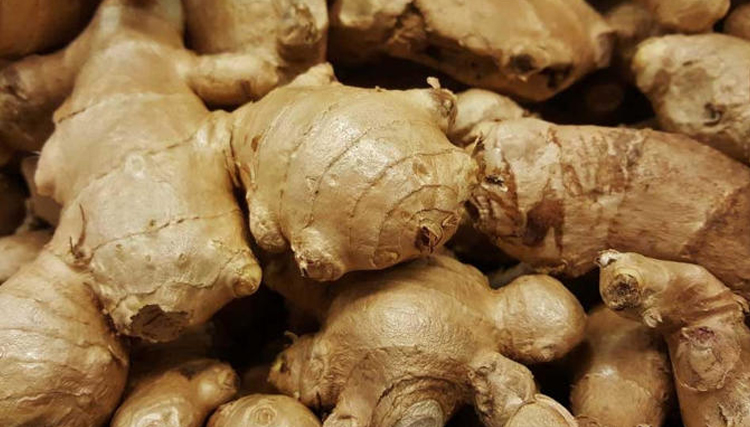 ویروس کرونا