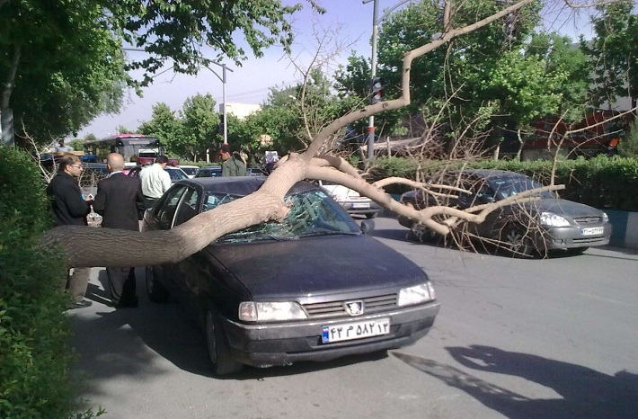 باد شدید ۷ میلیارد ریال به اصفهان خسارت زد