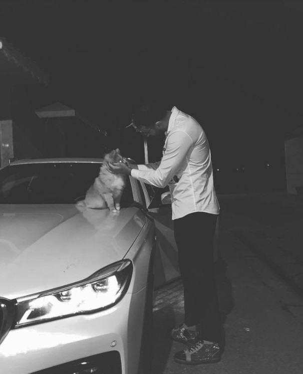 گفت و گوی سوشا مکانی با گربه!