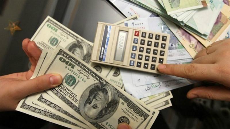 ارز دولتی برای واردات نصیب چه کسانی شد؟/ ۳میلیارد یورو در اختیار دو خانواده مشهور