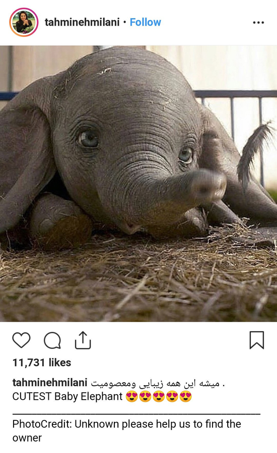 گاف عجیب تهمینه میلانی در صفحه اینستاگرامش+عکس