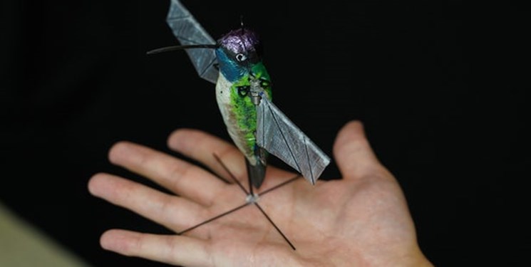 ساخت ربات مرغمگسخواری که در تاریکی حرکت میکند ساخت ربات مرغمگسخواری که در تاریکی حرکت میکند