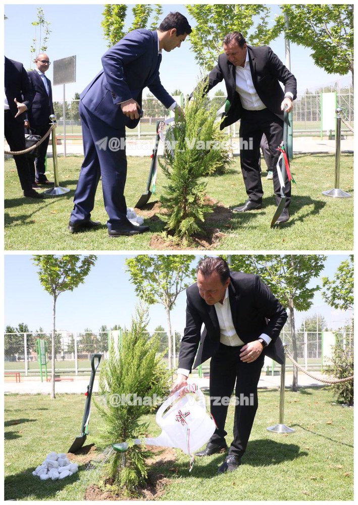 درختکاری ویلموتس در کمپ تیم ملی +عکس