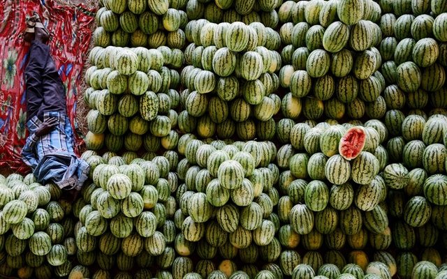 علت افزایش قیمت هندوانه در بازار