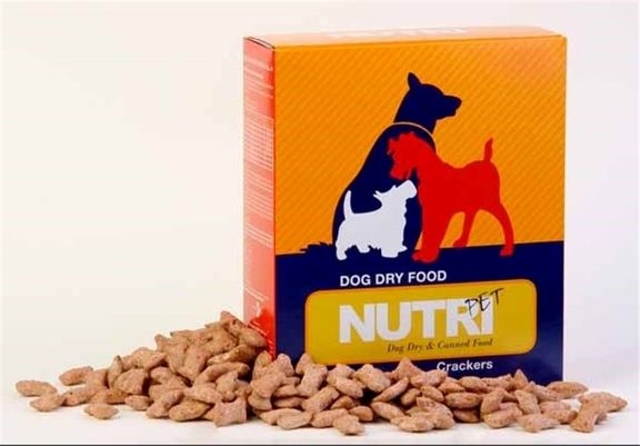 واردات غذای سگ و گربه به کشور ۵برابر شد! واردات غذای سگ و گربه به کشور ۵برابر شد!