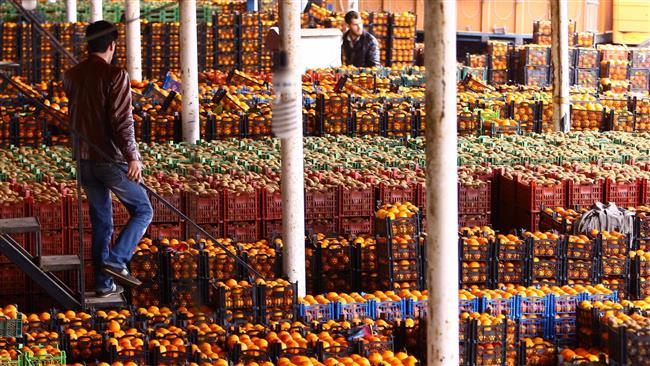 با عملکرد وزارت جهاد کشاورزی در تجارت همان بهتر که وزارت بازرگانی احیا شود/ چرا مردم ما نباید پاپایا بخورند؟