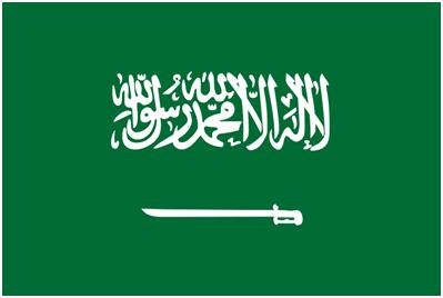 دیده‌بان حقوق بشر: ۳۳ شیعه در بین اعدام شدگان سعودی
