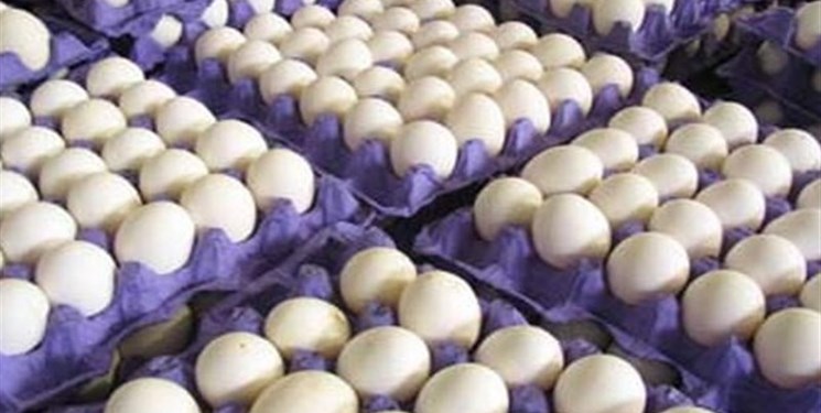 صادرات تخم‌مرغ آزاد شد
