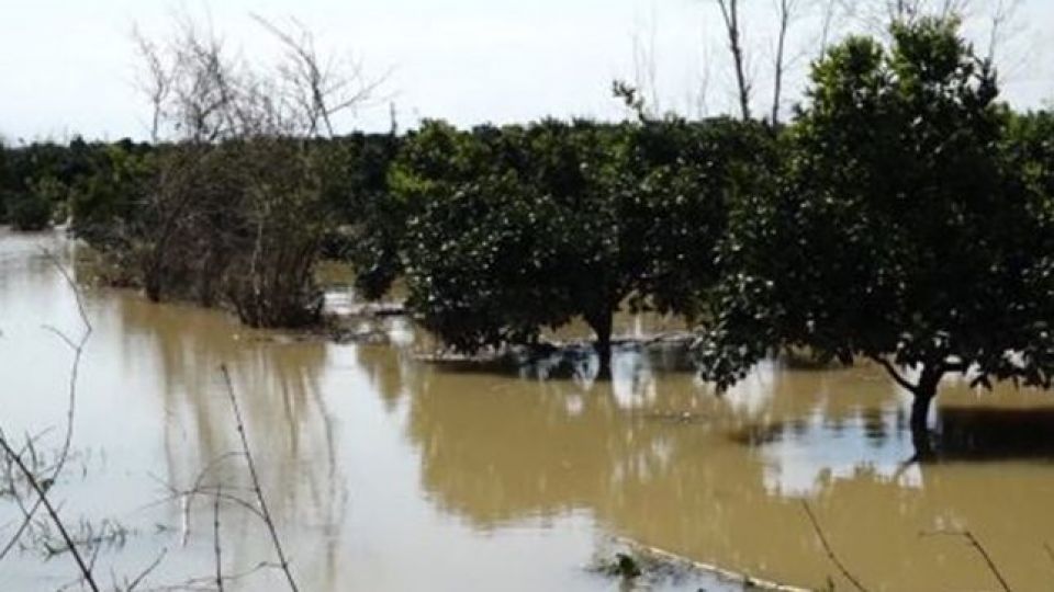 دوباره ترسالی می‌شود؟