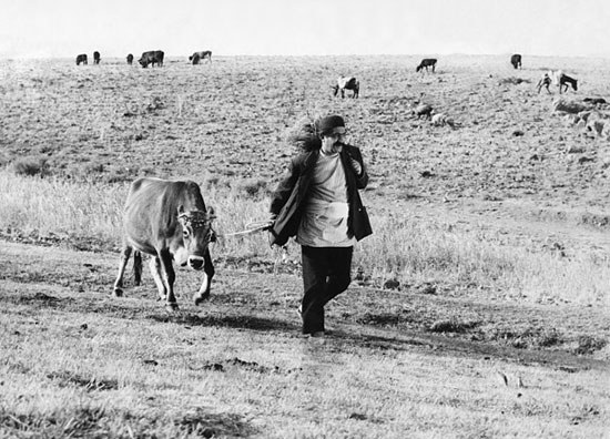 ۱۰ فیلم برتر تاریخ سینمای ایران به انتخاب Taste of Cinema