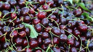 فروش ۶۰ هزار تومانی گیلاس در تهران+جدول