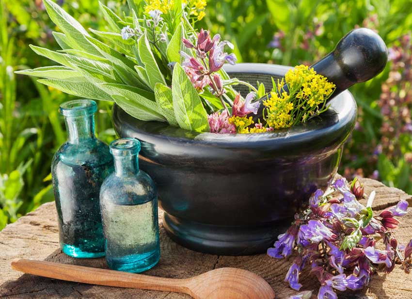 صادرات گیاهان دارویی تا سه سال آینده از مرز ۱ میلیارد دلار می‌گذرد