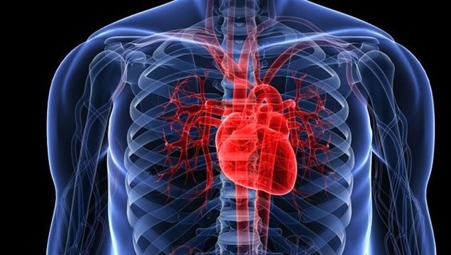 معجون طبیعی برای رفع گرفتگی عروق قلب معجون طبیعی برای رفع گرفتگی عروق قلب