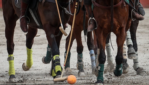سرپرست چوگان کاندیدای ریاست است!/ وزارت ورزش شائبه ایجاد نکند سرپرست چوگان کاندیدای ریاست است!/ وزارت ورزش شائبه ایجاد نکند