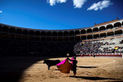 گاوبازی در مادرید اسپانیا