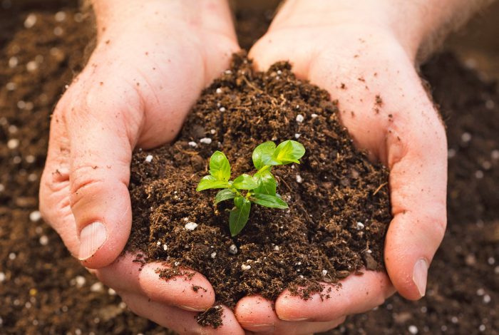 برای تشکیل ۱۰۰ سانتی‌متر خاک ۱۰ هزار سال زمان نیاز است/ راهکار‌های حفاظت از خاک