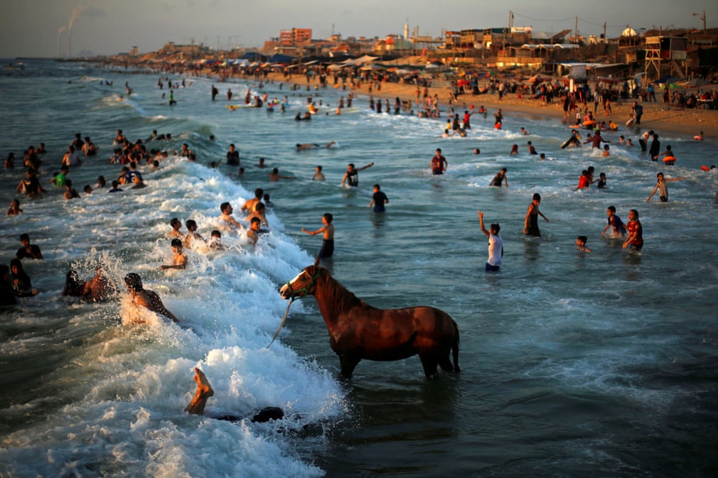 شستشوی یک اسب در ساحل باریکه غزه