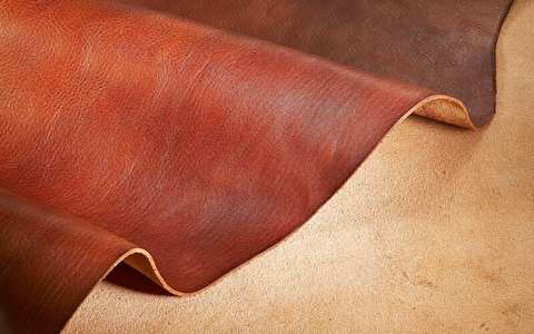 مواد اولیه صنعت چرم قاچاق می&zwnj;شود