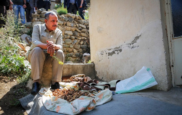 زباله&zwnj;گردهایی که از کشاورزان پولدارترند