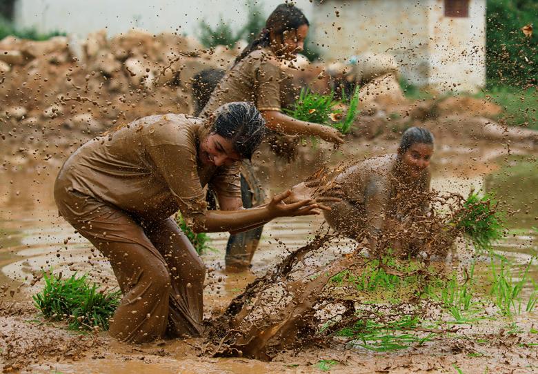 جشنواره سالانه شالیکاری در نپال