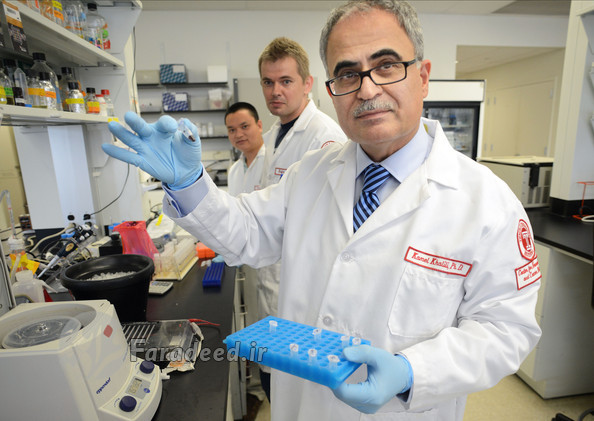 مهار ویروس مهار ویروس