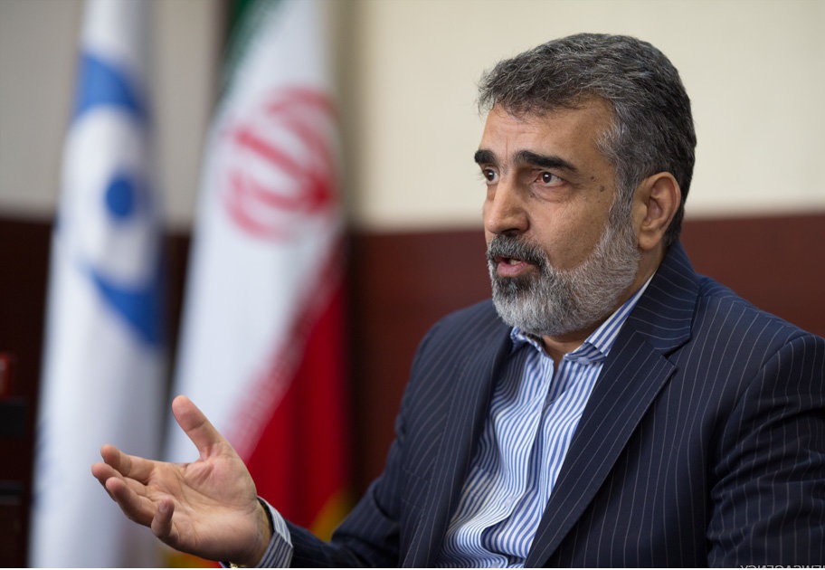 ایران فعلاً از غنی‌سازی ۴.۵ درصد عبور نمی‌کند/ کشور نیازی به غنی‌سازی در سطح ۲۰ درصد ندارد