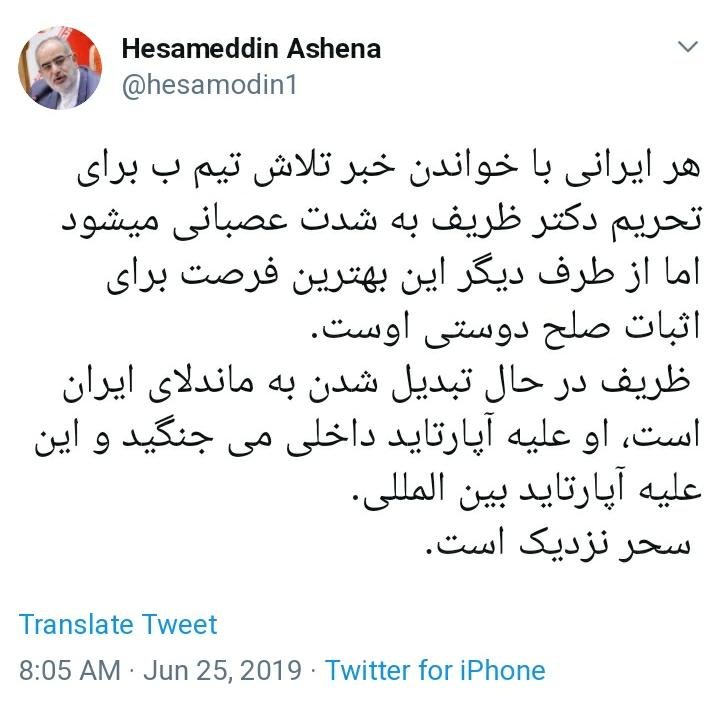 حسام‌الدین آشنا: ظریف در حال تبدیل شدن به ماندلای ایران است
