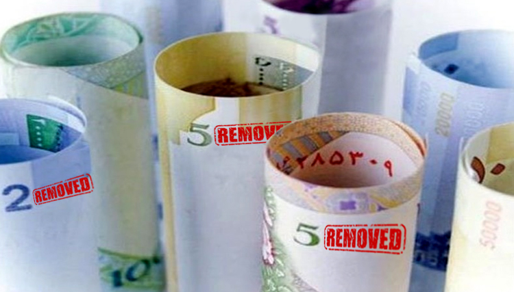 یک اقتصاددان: دولت در حذف ۴ صفر عجله کرد/ اقتصاد ایران ثبات ندارد