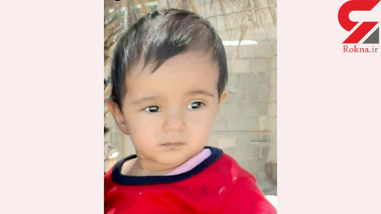 مرگ غمانگیز دختر یکساله بخاطر نجات یک گنجشک مرگ غمانگیز دختر یکساله بخاطر نجات یک گنجشک