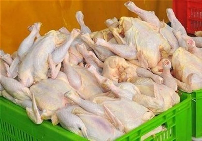 قیمت مرغ کاهش نیابد، از دو روز آینده واردات آغاز می‌شود