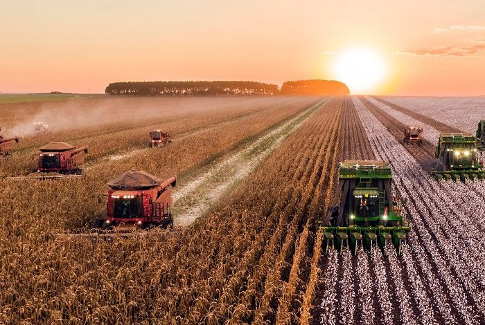 دستاوردهای نمایشگاه الکامپ امسال در بخش کشاورزی/ چالش‌ها و ظرفیت‌های کسب‌و کارهای نوپا